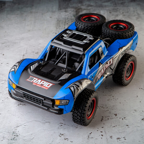 RC Buggy3