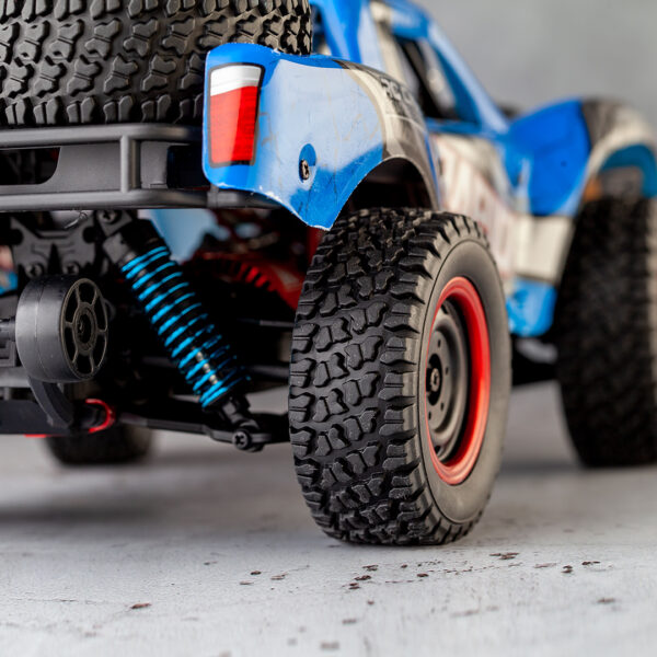 RC Buggy5