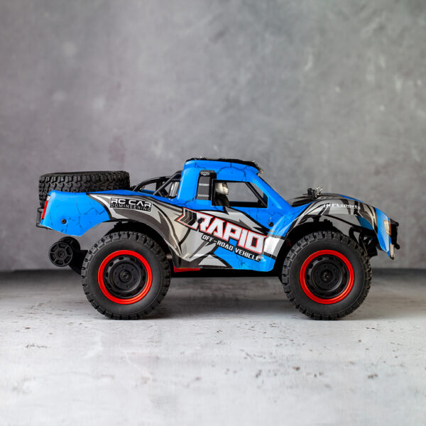 RC Buggy6