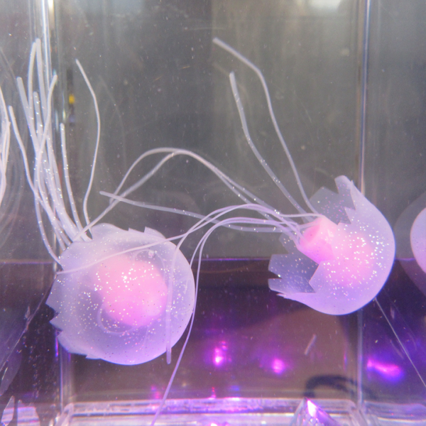 lava meduza 1