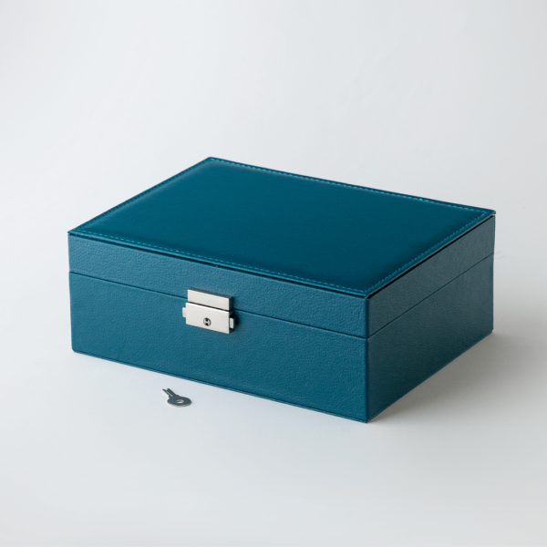 7601 standard plava 5