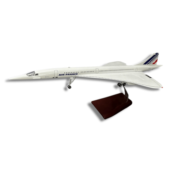 Model Aviona XXL Premium